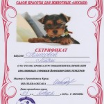 Диплом грумера