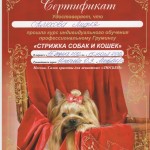 Диплом грумера