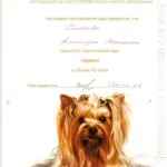 Диплом грумера